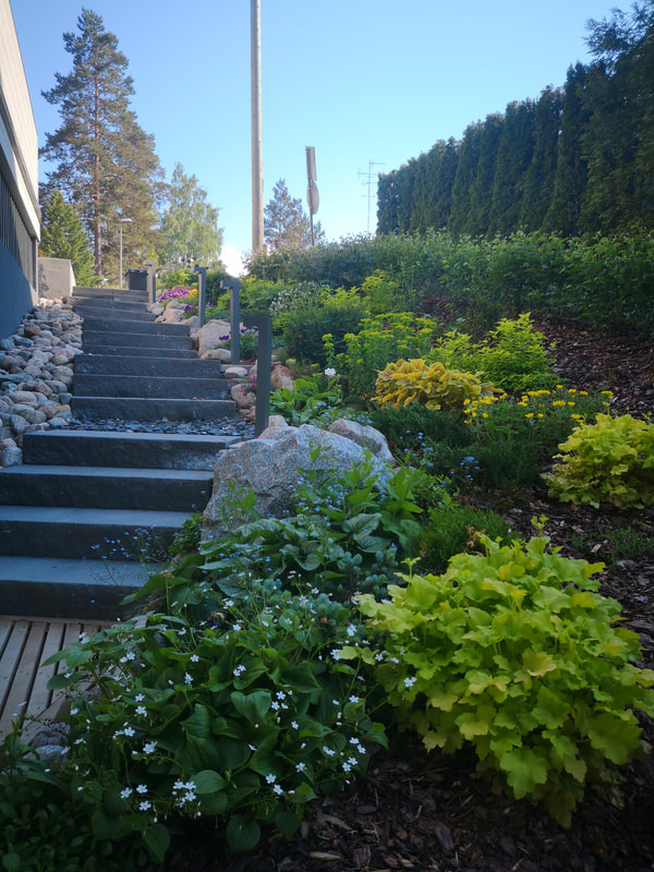 Rinne istutuksia ja betoniportaat  Slope plantings and concrete steps

Hyvät portaat tekevät puutarhasta viihtyisämmän ja helpottavat kulkua. Puutarhan portaat voivat olla puuta, betonia, kiveä tai näiden sekoitelmia. Katso koosteesta erilaisia porrasratkaisuja puutarhaan.

Rinnepuutarhaan tarvitaan portaita. Näin saadaan pihan neliöt parhaaseen käyttöön. Hyvä ulkoportaan askelman korkeus on 10-15 senttiä
Porrasmateriaaleissa on hyvin valinnan varaa.
•	kestopuuportaat eri tasoille
•	Lämpöpuuportaat
•	Graniittikiviportaat
•	Betonikiviportaat
•	Luonnonkiviportaat 
•	Maaportaat tuettuna puupalkilla tai kivireunalla

Puuportaita on huollettava säännöllisesti ja korjattava.

A slope garden requires stairs. This way, the square footage of the yard can be put to the best use. A good step height for an outdoor staircase is 10-15 centimeters
There is a wide range of stair materials to choose from.
• sustainable wooden stairs to different levels
• Thermal wooden stairs
• Granite stone stairs
• Concrete stone stairs
